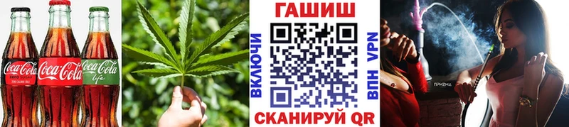 сколько стоит  Мыски  Cannafood конопля 